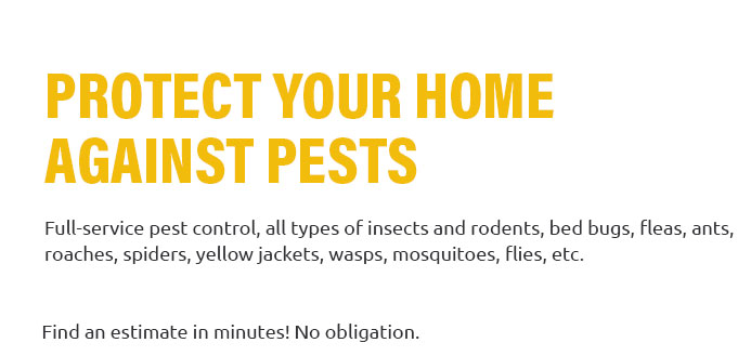 Home Pest Control Near Me 🛑 Jul 2024