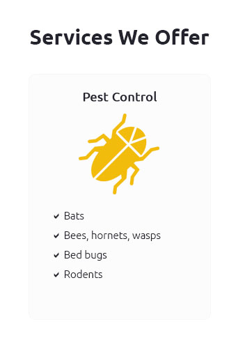 Home Pest Control Near Me 🛑 Jul 2024